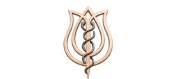 RoseMed Aesthetics Logo